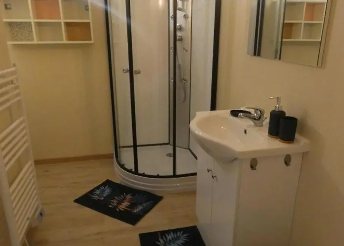 度假居 Aux Fleurs 阿热莫